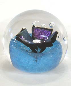 Copper Blue Copper Blue