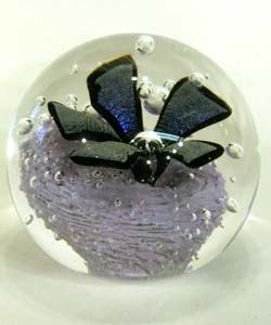 Opal Violet Opal Violet