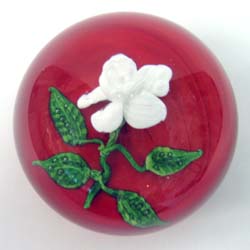 Cape May Rose $750.00 Cape May Rose $750.00