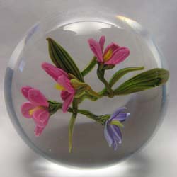 Floral 20, $700.00 Floral 20, $700.00