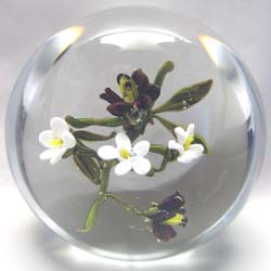 Floral 33, $700.00 Floral 33, $700.00