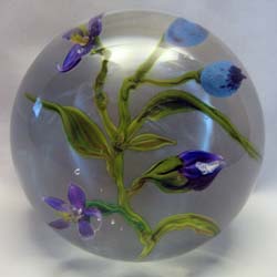 Blueberry $700.00 Blueberry $700.00