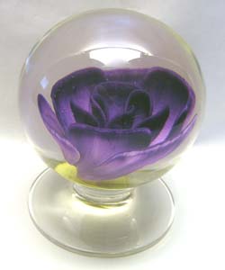 Purple Rose $600.00 Purple Rose $600.00