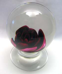 Ruby Rose $600.00, 3 Ruby Rose $600.00, 3