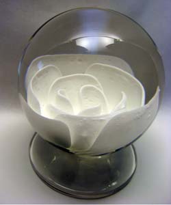 White Rose $600.00 White Rose $600.00